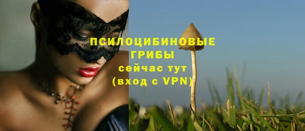 ALPHA PVP Абаза