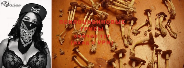 дурь Абинск
